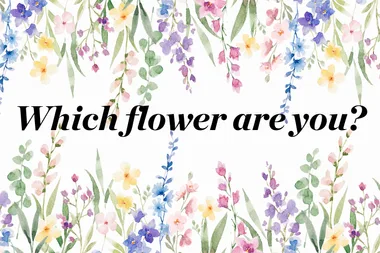 Which flower are you? Take this quiz to find out