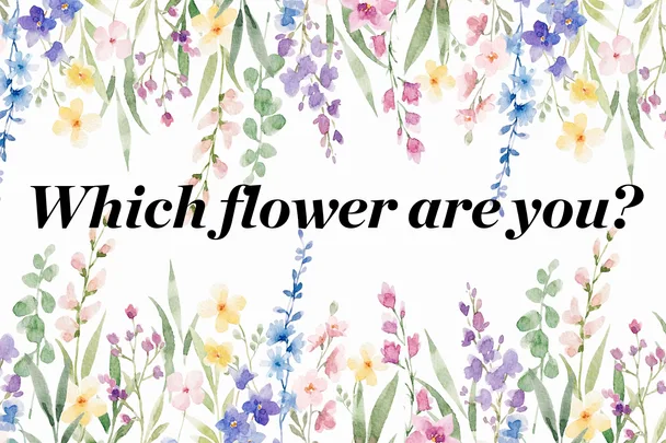 Which flower are you? Take this quiz to find out