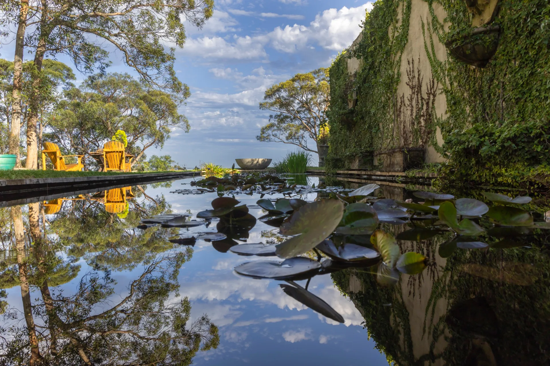 How to build a water garden - Better Homes & Gardens Australia