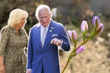 queen camilla and king charles visiting australian orchid at chelsea flower show