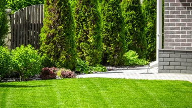 backyard with freshly mowed couhc grass