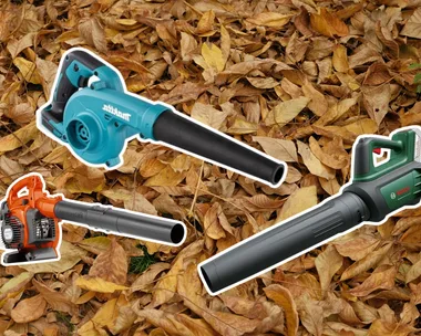 image of dead leaves with superimposed deep etch images of three leaf blowers on top