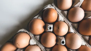 eggs on the bench at room temperature
