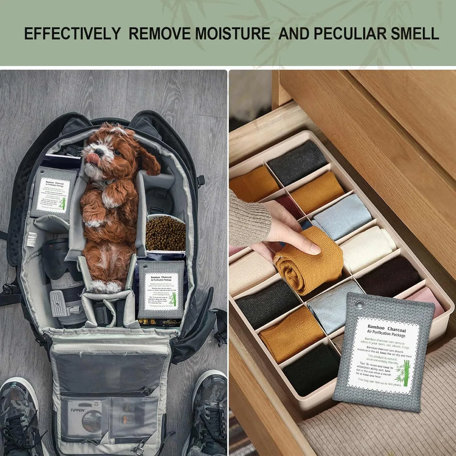 dog in a camera bag with charcoal purifying bags and drawer with compartments and puifier bbags