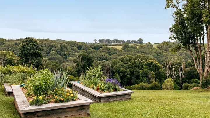 kikuyu grass country garden