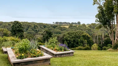 kikuyu grass country garden