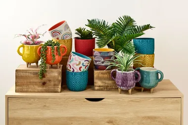 Pots and planters available using a Spotlight promo code