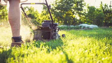 mowing the lawn before dethatching grass