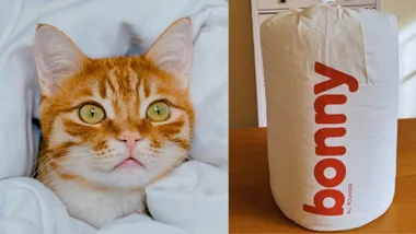 bonny doona with cat