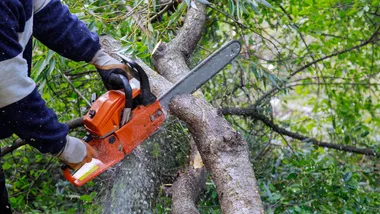 man chopping a tree branch with chainsaw