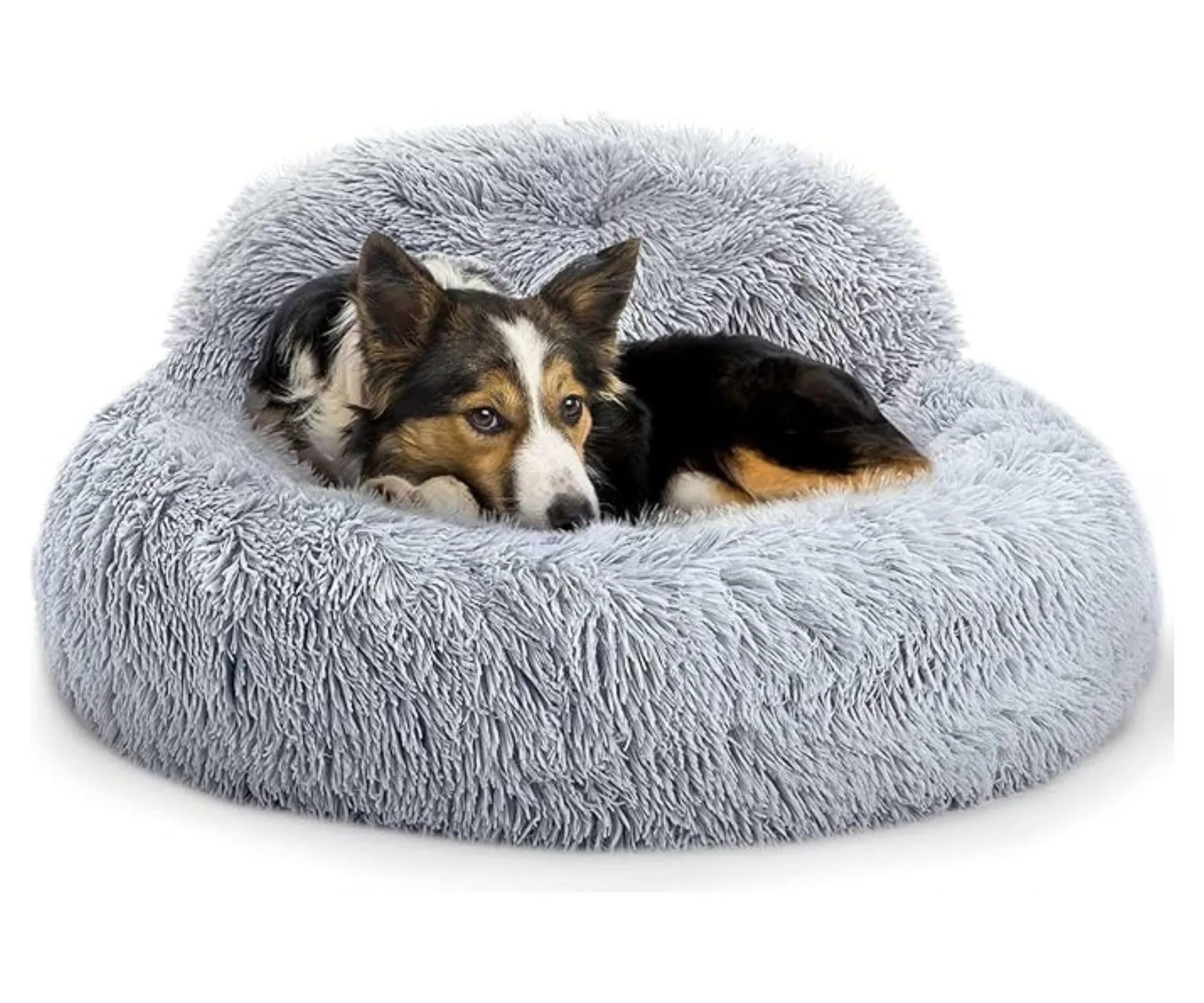 faux fur calming dog bed with back support and dog curled up inside 