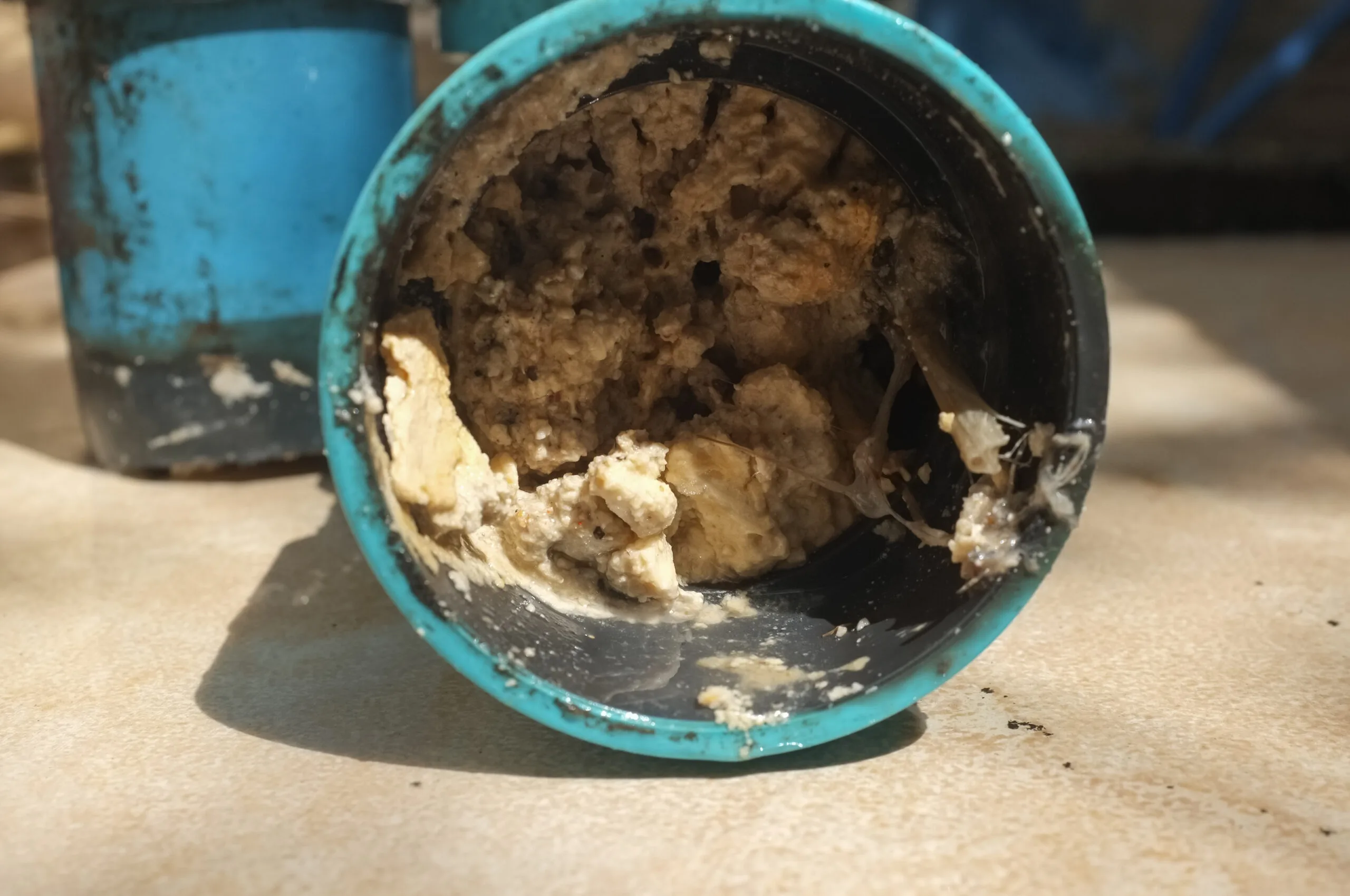 fatberg blockage with yellow condensed fat waste stuck in blue pipe