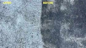 mouldy driveway before and after pictures