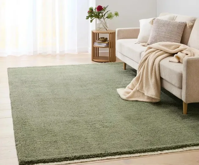 Forest green rug from Kmart