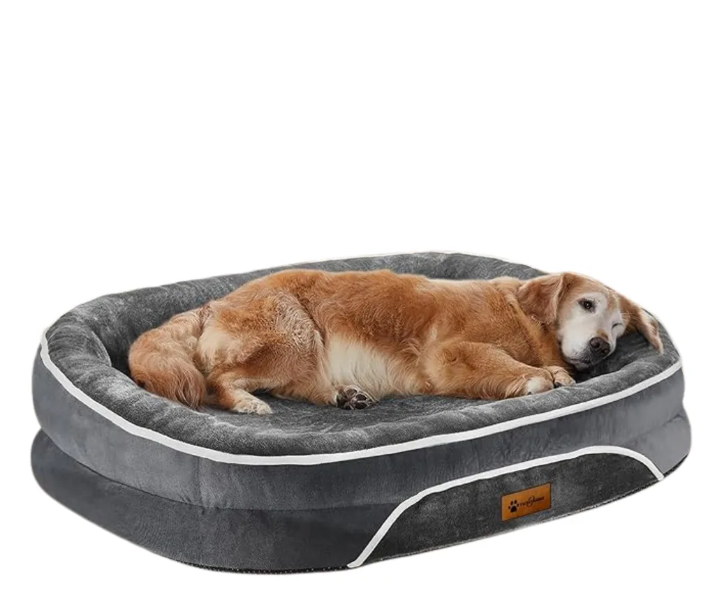 orthopedic dog bed with squishy barrier and old golden retriever lying down in it