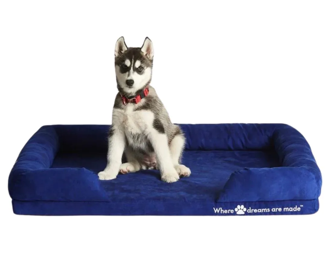 Sleep Republic Dog Bed