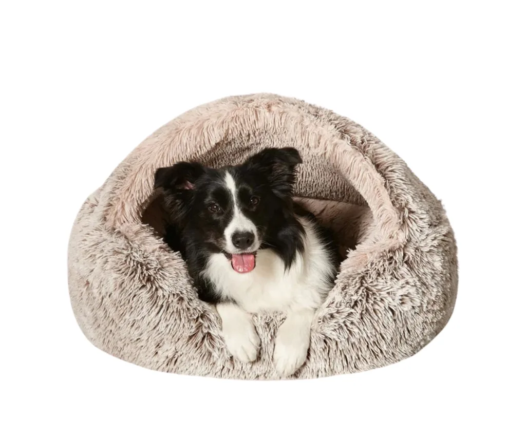 cave dog bed with border collie smiling inside