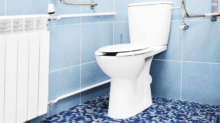 smely toilet