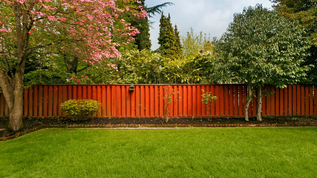 trees growing a neighbours fence line