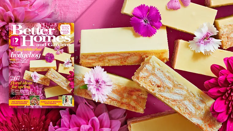 The September magazine of BHG is here!