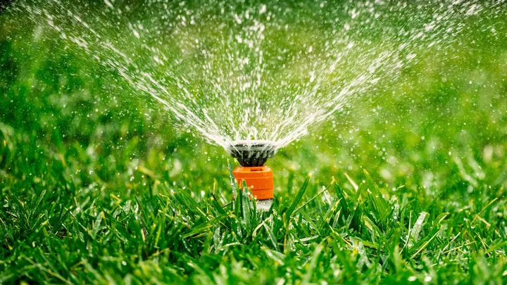 Automatic garden lawn sprinkler, watering vibrant green grass in a backyard.
