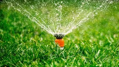 Automatic garden lawn sprinkler, watering vibrant green grass in a backyard.