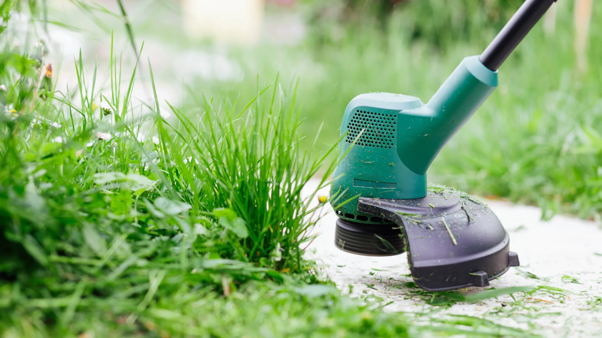 cutting weeds