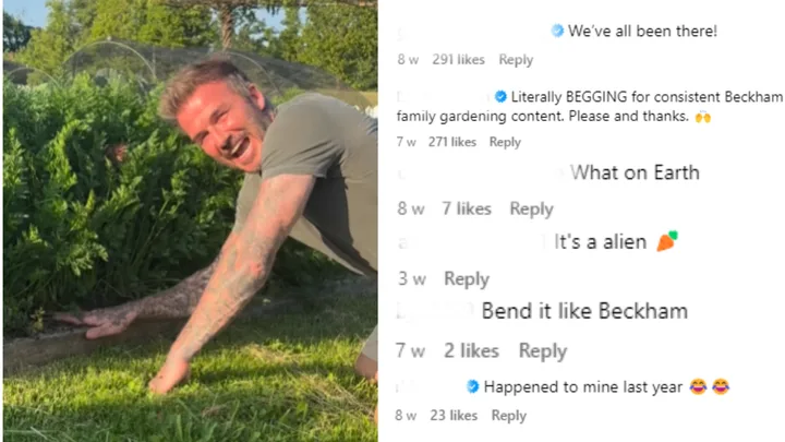 David Beckham shares his ’embarassing’ carrot harvest