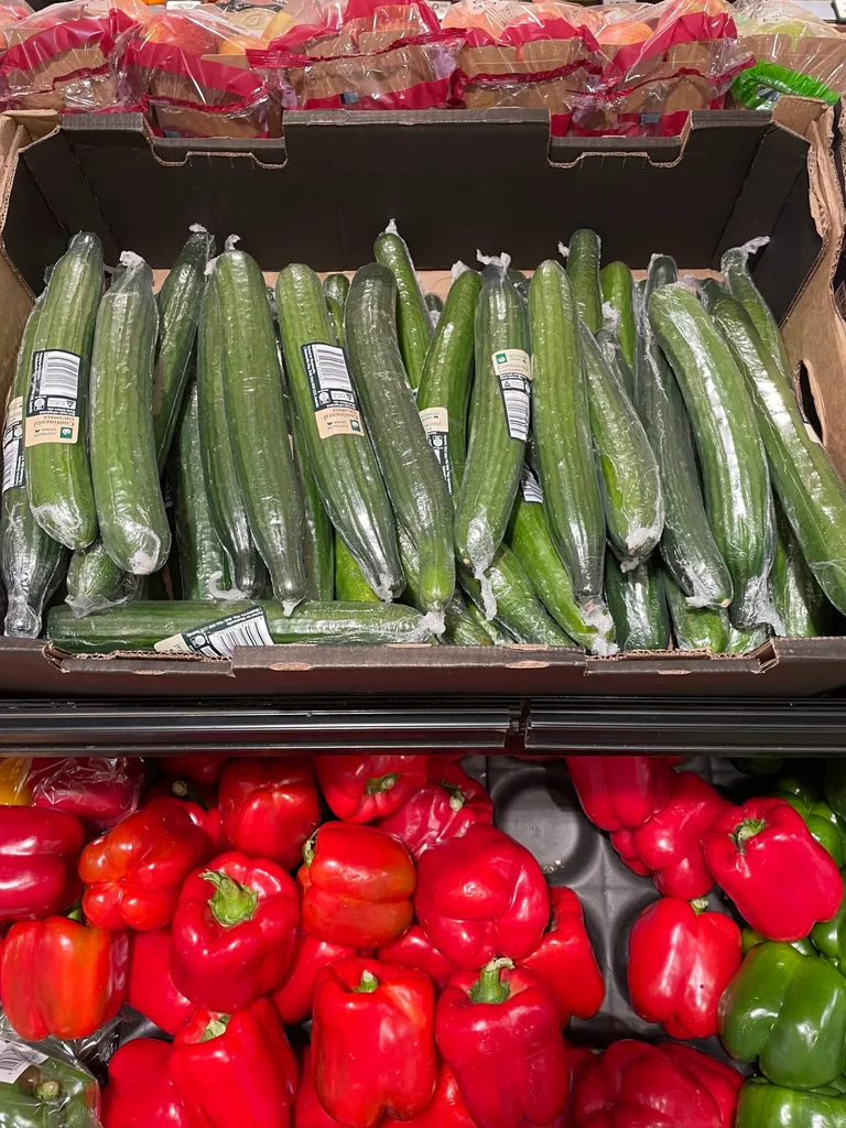 telegraph cucumbers in box with red capsicums underneath shelf in supermarket