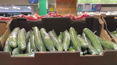 telegraph cucumbers in box wrapped in plastic shelf in supermarket