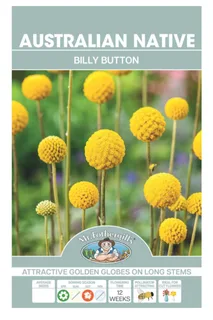 Billy Button Wildflower Seeds