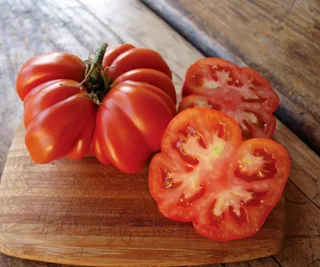 Tomato ‘Costoluto Genovese’, The Diggers Club