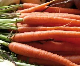 Carrot ‘Baby’, The Diggers Club