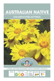Golden Everlastings Daisies Wildflowers