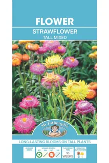 Straw Flower (Paper Daisy) Tall Mixed Seeds