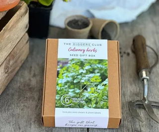 Culinary Herbs Seed Gift Box, The Diggers Club