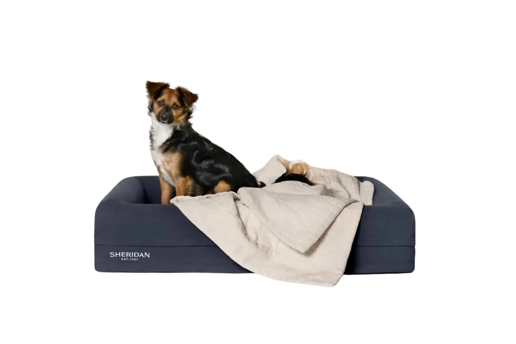 Product photo of Abbotson Linen Pet Blanket, styled on Sheridan's Reggie Pet Bed, with a small dog sitting on top