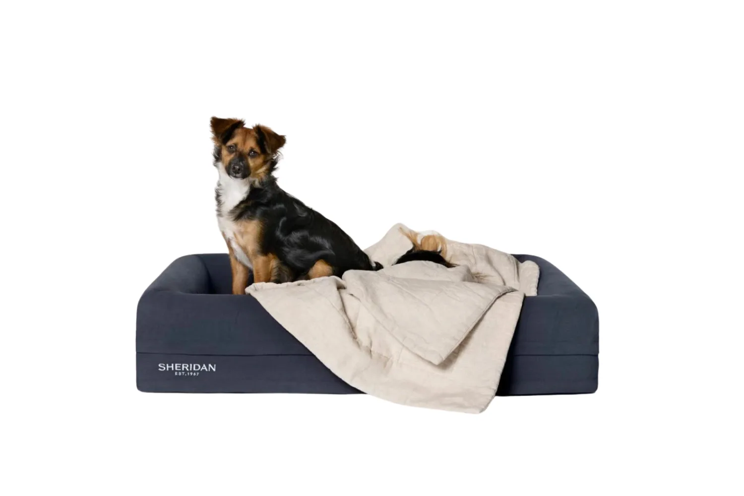 Product photo of Abbotson Linen Pet Blanket, styled on Sheridan's Reggie Pet Bed, with a small dog sitting on top