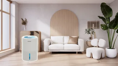 popular dehumidifier being used in living room