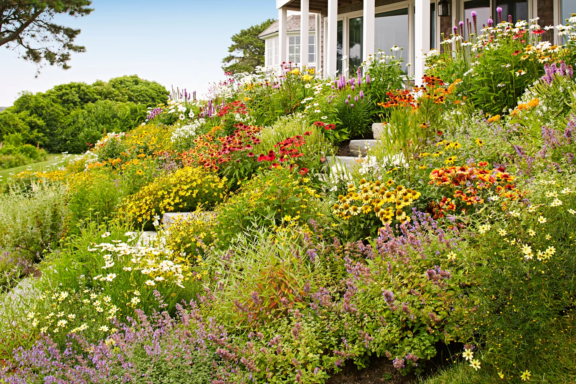 sloping site on a hill filled with blooming wildflowers