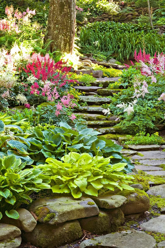 gentle sloping garden with rainforest colourful plant planted on the side of stairs