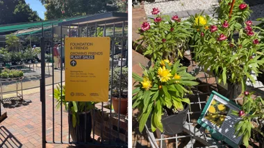 The Botanic Gardens is hosting a rare plant sale for 2 weeks only