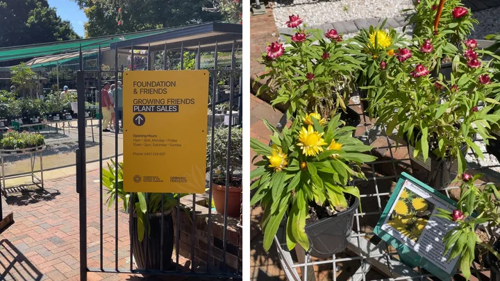 Find rare and exotic plant species at the Growing Friends Autumn Plant Sale