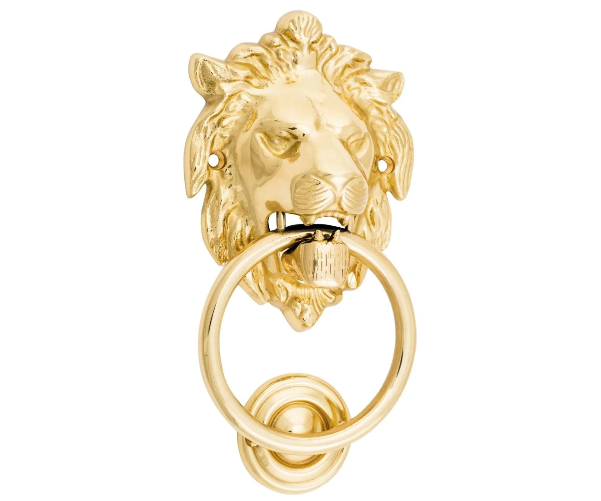 gold lions head door knocker