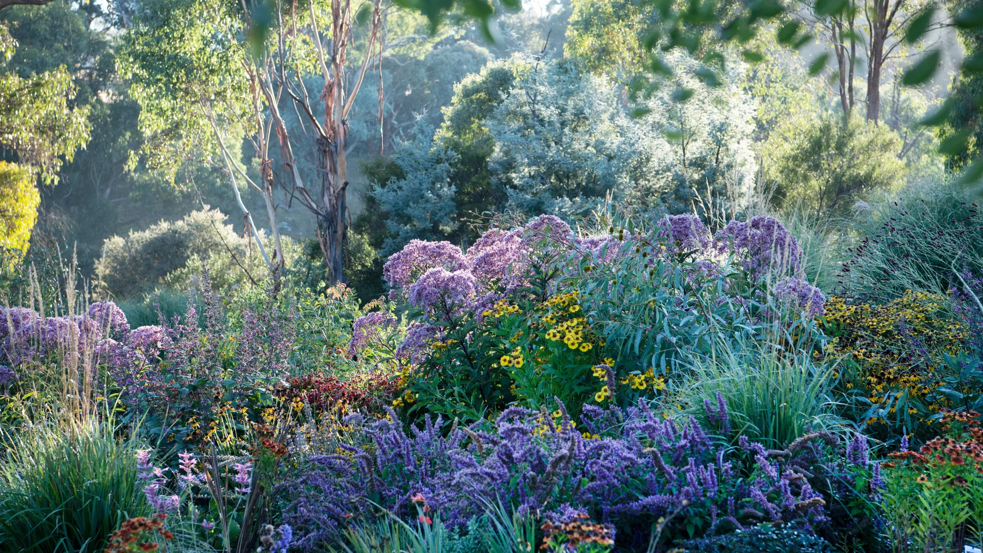meadow garden
