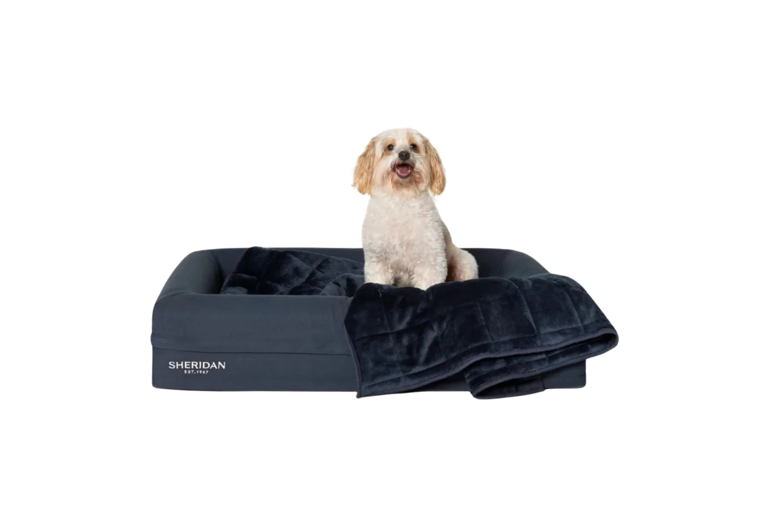 Product image of the Poppet Pet Blanket laid over the Reggie Pet Bed with a small dog sitting on top