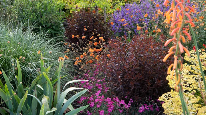 meadown garden