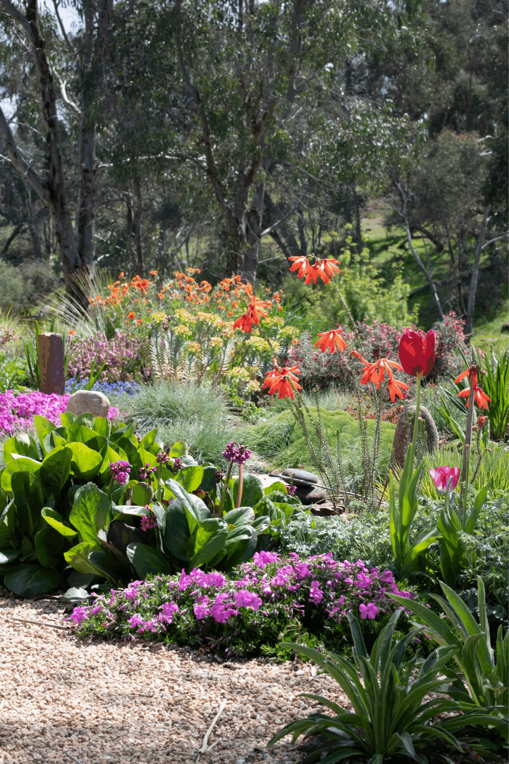 meadow garden