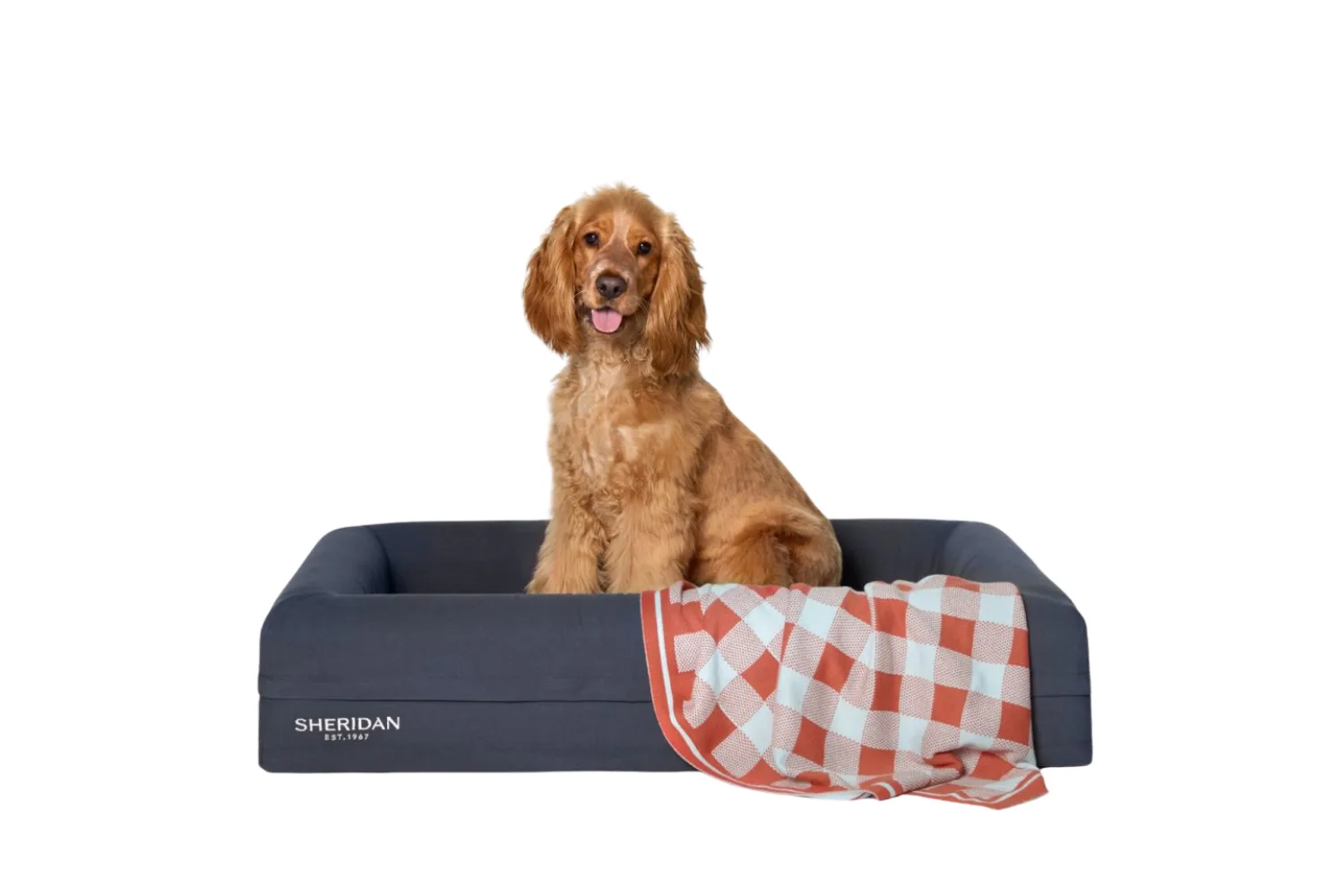 Product photo of Reggie Pet Bed in Atlantic blue, with a medium sized dog sitting inside