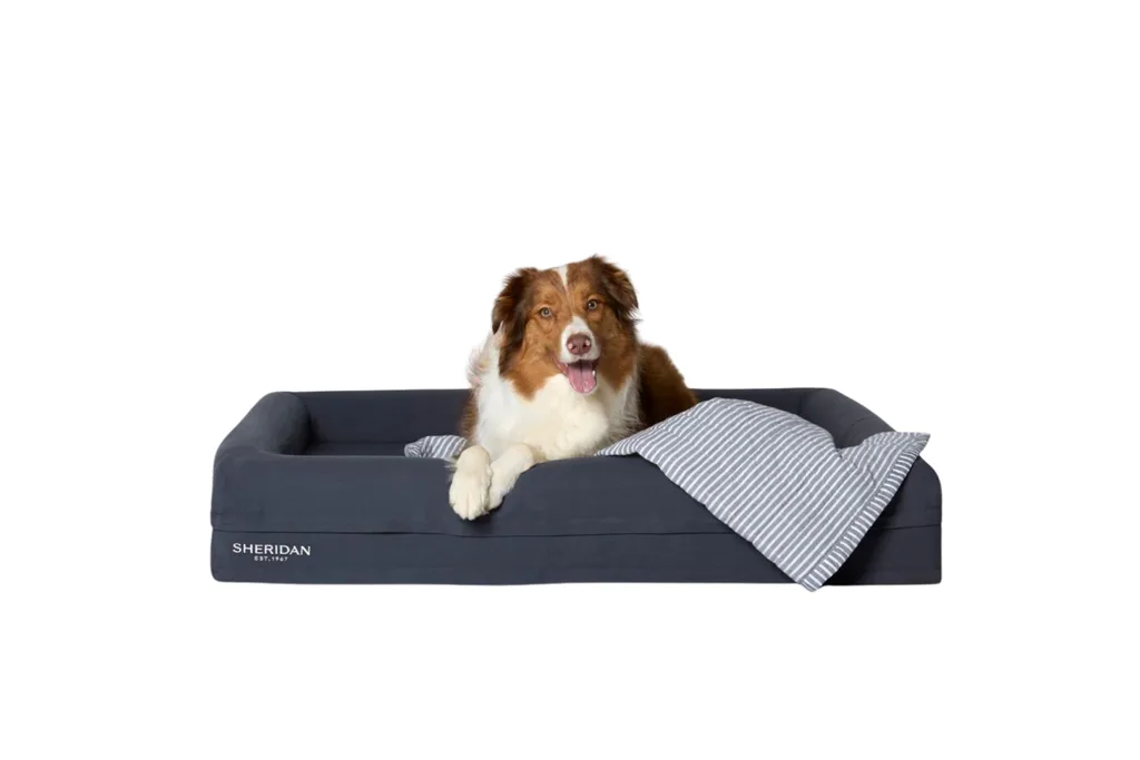 Product photo of Reilly Stripe Pet Blanket, laid on the Reggie Pet Bed with a medium dog lounging on top.